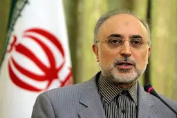 صالحی: از بعد فنی نگران فعالیت صلح‌آمیز هسته‌ای کشور نباشید