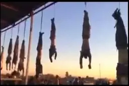 داعش ۳۷ نفر را در 