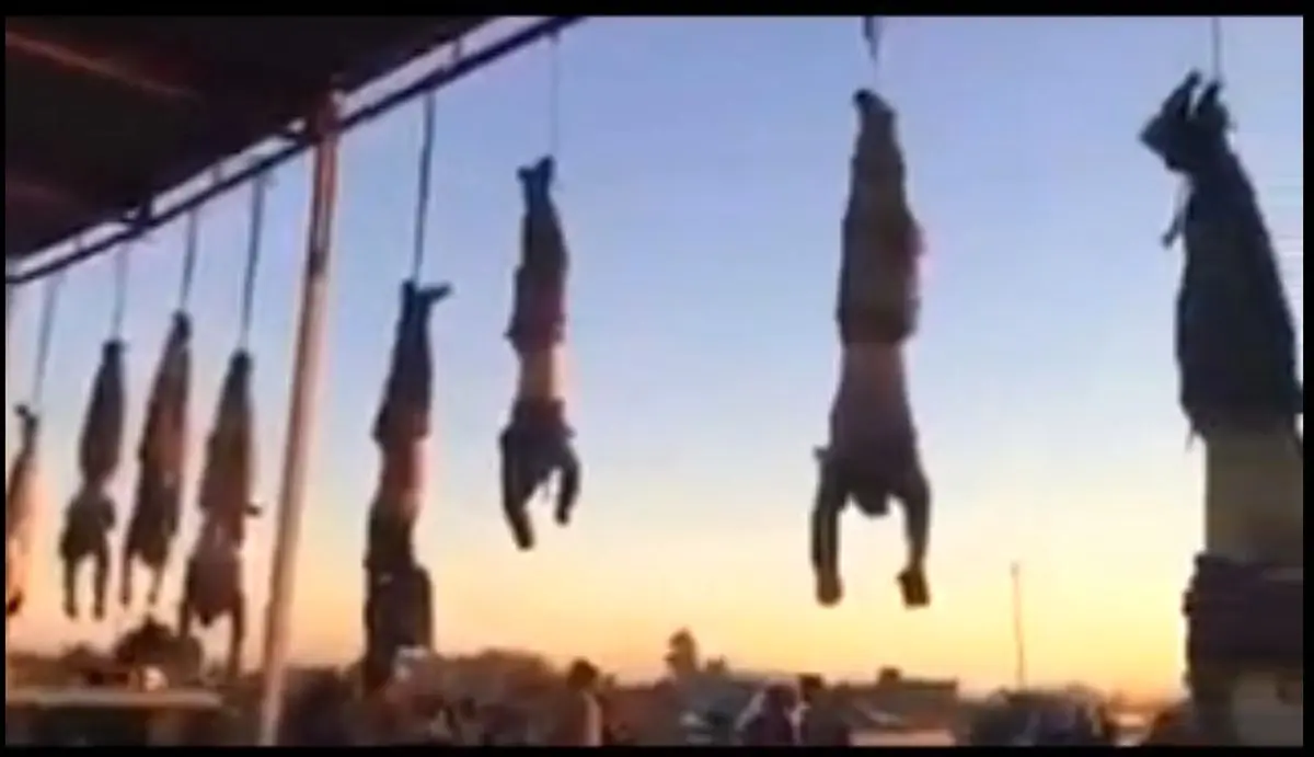 داعش ۳۷ نفر را در "الانبار" اعدام کرد
