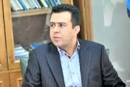 قربانی:  رفتار مالی دولت با بانک مرکزی در ماه‌های اخیر منضبط بوده است