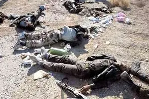 بیش از پنجاه تروریست داعش در 