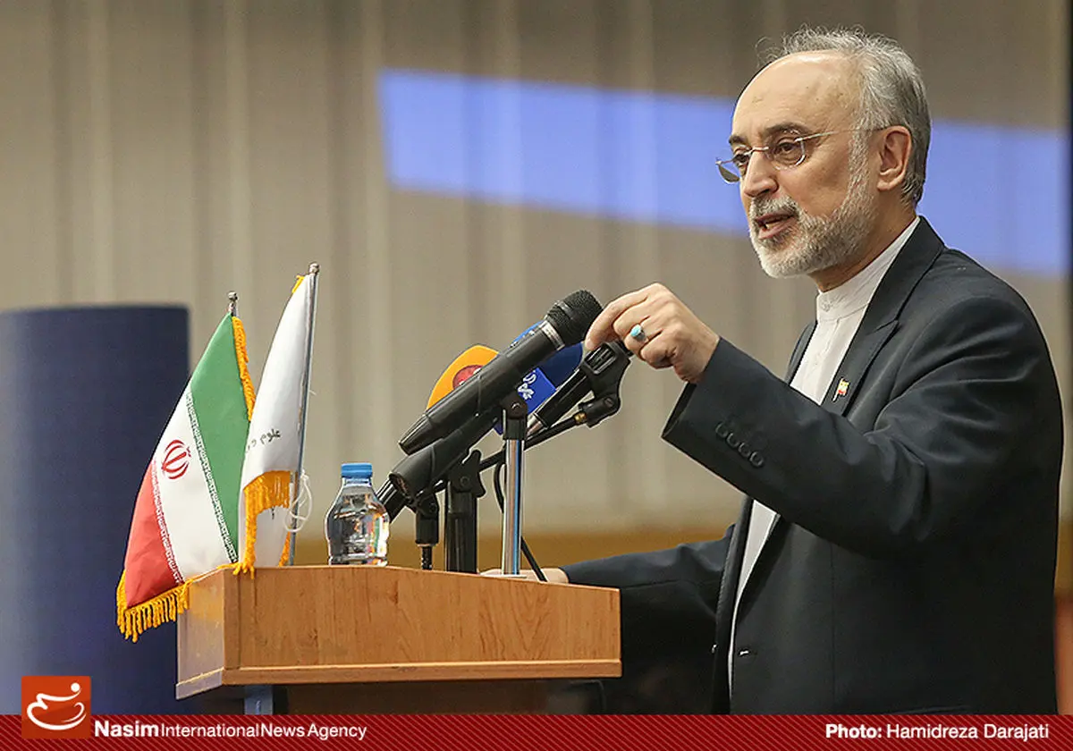 صالحی: عمده صحبت‌های انتقادی از برجام از سر دلسوزی است