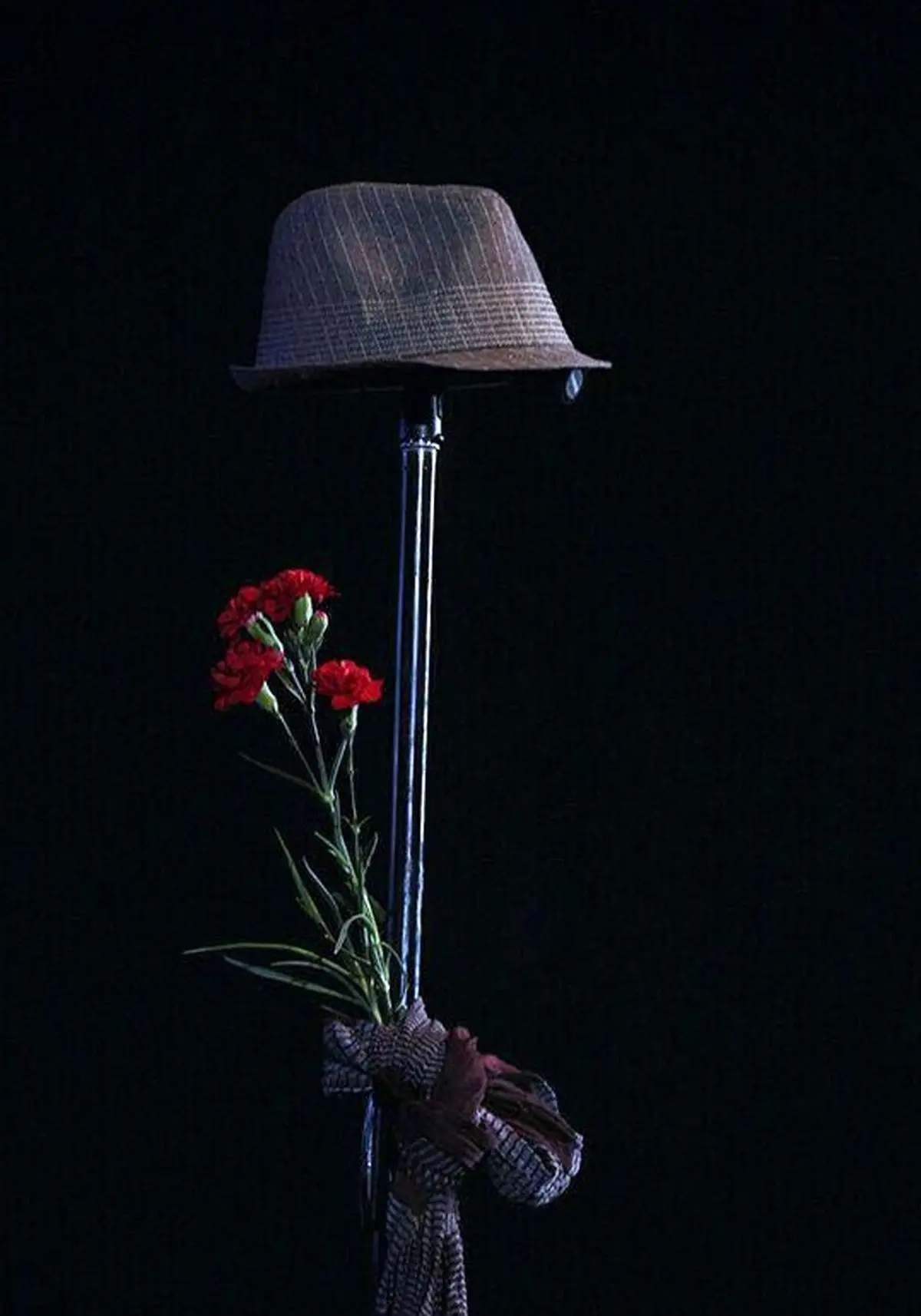 یادبود خاص مرتضی پاشایی در یک کنسرت