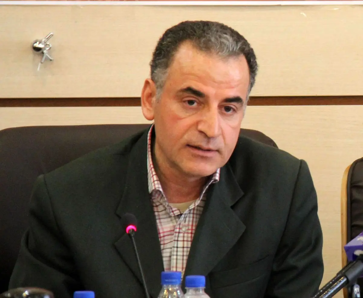 معاون وزیر کار: تولید ناخالص داخلی ایران به‌اندازه فروش سامسونگ است