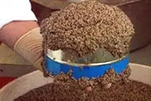 خاویار کیلویی ۲۰ میلیون تومان شد