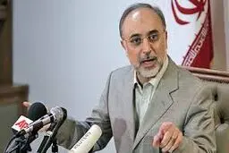 صالحی: بسیجیان بار دیگر به دنیا فهماندند که ملت بیدار و هشیار ایران هیچگاه غافل نخواهد بود