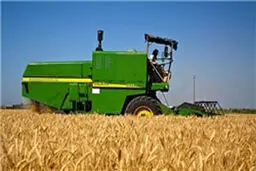 دولت عرضه شکر به بازار را قطع کرد