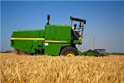 دولت عرضه شکر به بازار را قطع کرد