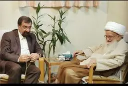 دبیر مجمع تشخیص با آیت‌الله صافی گلپایگانی دیدار کرد