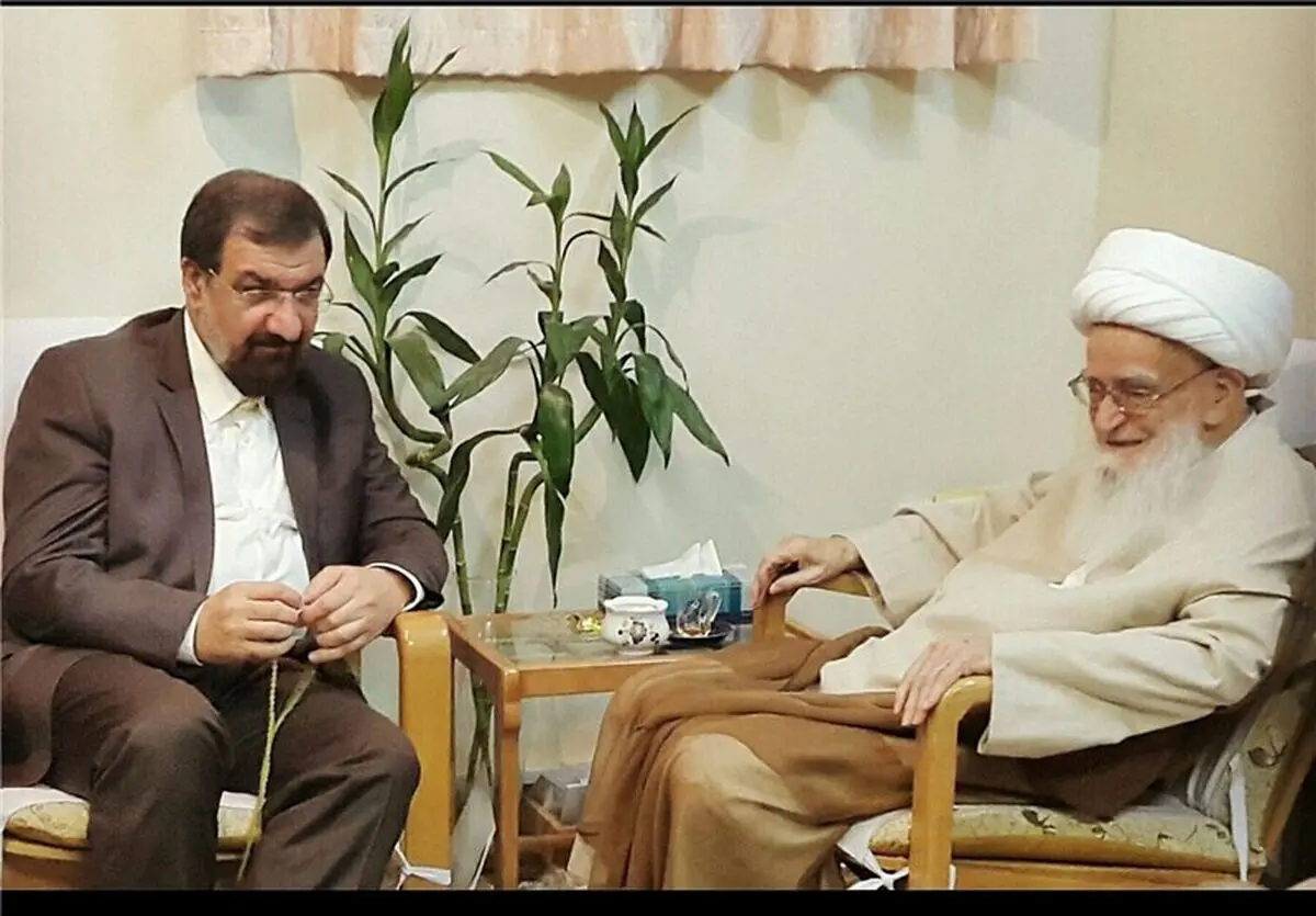 دبیر مجمع تشخیص با آیت‌الله صافی گلپایگانی دیدار کرد