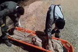 واژگونی خودروی وانت پیکان یک کشته داد