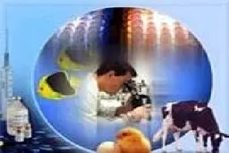 اختصاص ۵۰ میلیارد ریال به سازمان دامپزشکی کشور