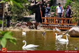 اولتیماتوم محیط‌زیست به باغ پرندگان تهران