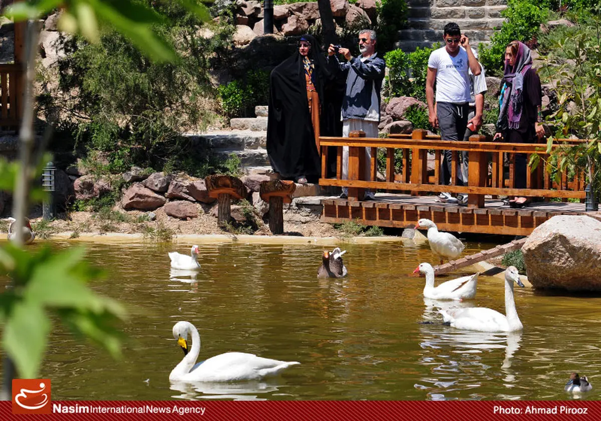 اولتیماتوم محیط‌زیست به باغ پرندگان تهران