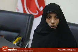 معاون حقوقی رئیس‌جمهور: صدها هزار ملک دولتی پلاک ثبتی ندارند
