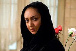 نیکی‌کریمی به 