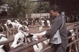 مدیرکل دفتر حیات‌وحش سازمان محیط‌زیست از
نبود واکسن‌ کافی برای مقابله با طاعون خبر داد