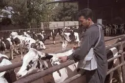 مدیرکل دفتر حیات‌وحش سازمان محیط‌زیست از
نبود واکسن‌ کافی برای مقابله با طاعون خبر داد