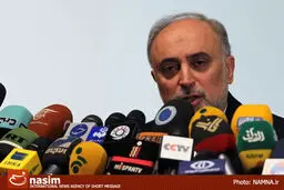 صالحی:  آمانو با رضایتمندی از ایران رفت