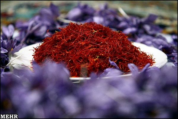 کاهش ۳۰ درصدی صادرات زعفران ایرانی در بازار دنیا