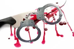 یک تلفن از افغانستان، راز قتل را افشا کرد