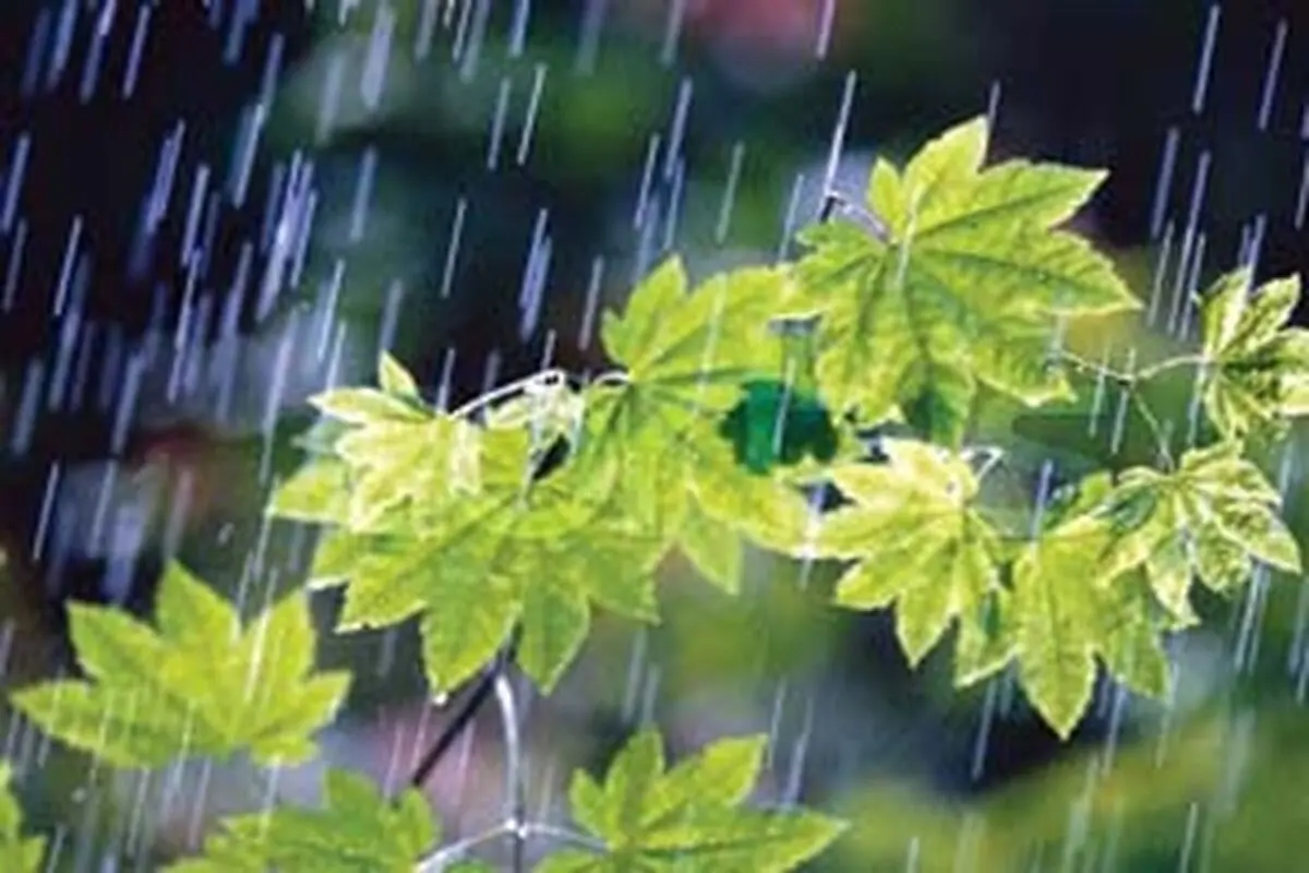 سال آبی با ۱۰ درصد کاهش به پایان رسید؛ میزان بارندگی  ۱۹۷ میلی‌متر