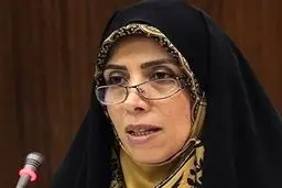 امین زاده: در حوزه تولید ملی و کارآفرینی کمبود قانون نداریم