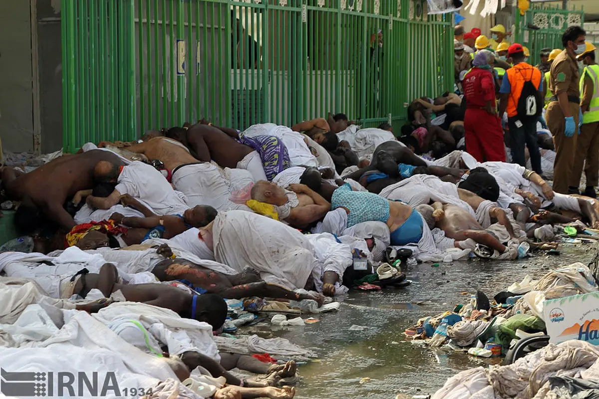 فعالیت گروهی در شبکه‌های اجتماعی  برای فاجعه منا