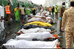 باید منا، قربانی این باورت باشد ...