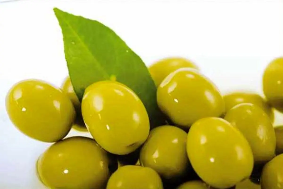 رئیس بنکداران زیتون: زیتون یونان از بازارچه‌های مرزی به داخل کشور وارد می‌شود