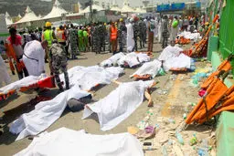 نوش‌آبادی: ویزای وزیر ارشاد بعد از آنکه کاردار عربستان را احضار کردیم، صادر شد