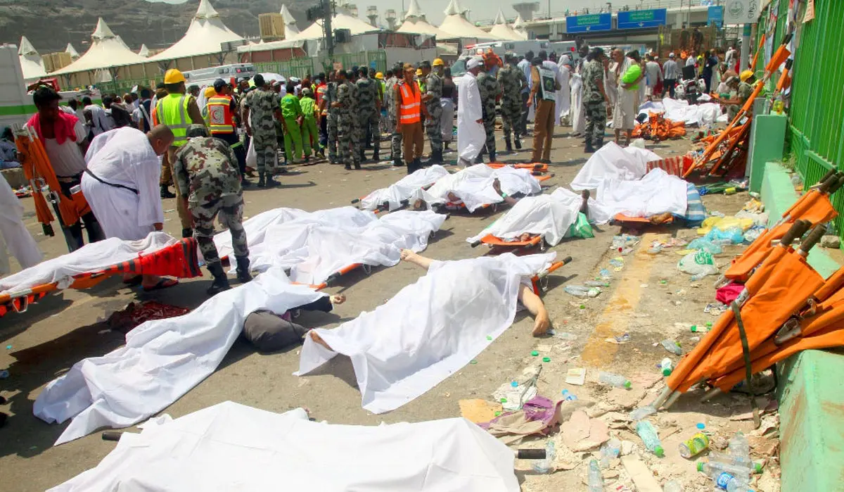 نوش‌آبادی: ویزای وزیر ارشاد بعد از آنکه کاردار عربستان را احضار کردیم، صادر شد