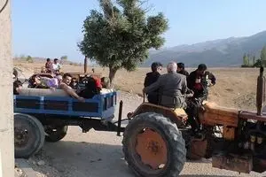 معاون وزیر راه و شهرسازی: عمده حمل و نقل روستایی با تراکتور انجام می‌شود