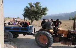 معاون وزیر راه و شهرسازی: عمده حمل و نقل روستایی با تراکتور انجام می‌شود