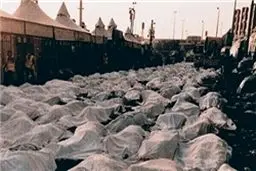 دفن دسته‎جمعی زائران گمنام در حادثه منا