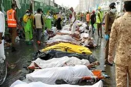 اسامی ۲۲۸  جانباخته ایرانی فاجعه منا منتشر شد