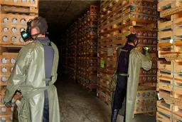 ۹۸ درصد تسلیحات شیمیایی سوریه منهدم شد