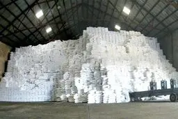 دبیر انجمن قند و شکر: ۲۰ کارخانه قند و شکردر آستانه یک زیان بزرگ مالی