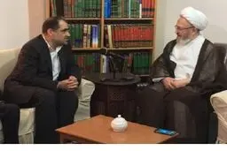 وزیر بهداشت: امکان مفقود ماندن تعداد دیگری از جانباختگان ایرانی  منا وجود دارد