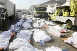 جدول:: آخرین آمار جانباختگان و مفقودین حادثه منا