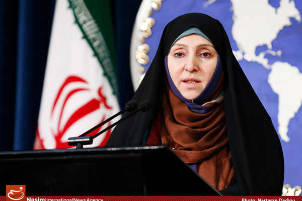 افخم دستگیری تبعه ایران توسط  آمریکا را غیرقابل قبول دانست