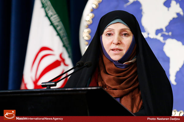 افخم دستگیری تبعه ایران توسط  آمریکا را غیرقابل قبول دانست
