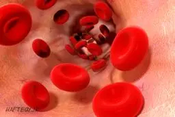 راه پیشگیری از ابتلاء به 