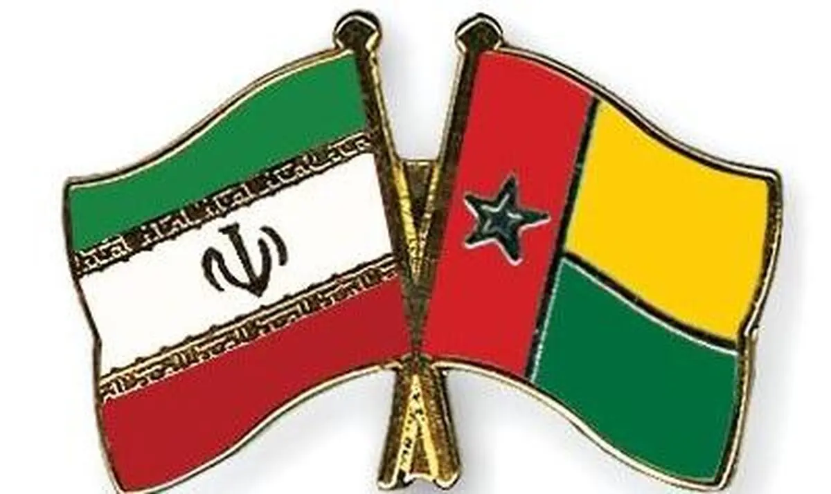 سفیر جدید ایران در گینه
استوار نامه خود را  تسلیم رئیس جمهور این کشور کرد