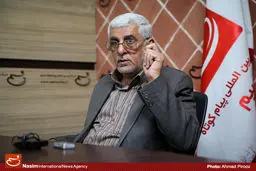 هانی‌‌زاده: حکومت نظامیان مانع از استقبال مردم مصر از انتخابات شد