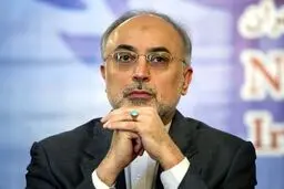 رئیس‌ سازمان انرژی اتمی به ژاپن سفر می‌کند