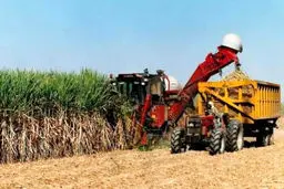 سمینار علمی بررسی تبعات زیست محیطی- اجتماعی صنعت نیشکر برگزار می‌شود