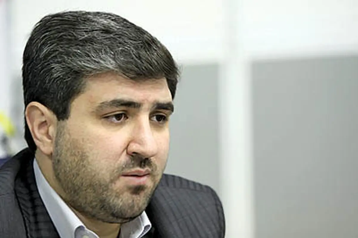 معاون وزیر سابق صنعت: توقع نداشتم بسته خروج از رکود اینقدر ضعیف باشد