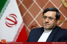 قشقاوی: انتزاع شورای عالی ایرانیان از ریاست جمهوری در هیات دولت در حال بررسی است