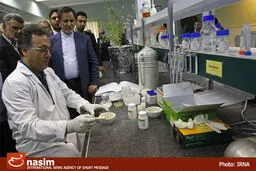 واحد تولیدی پرمنگنات پتاسیم با حضور جهانگیری در زنجان افتتاح شد